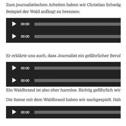 Der Wald brennt! Was macht ein Journalist?